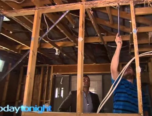 Termites devastate timber homes